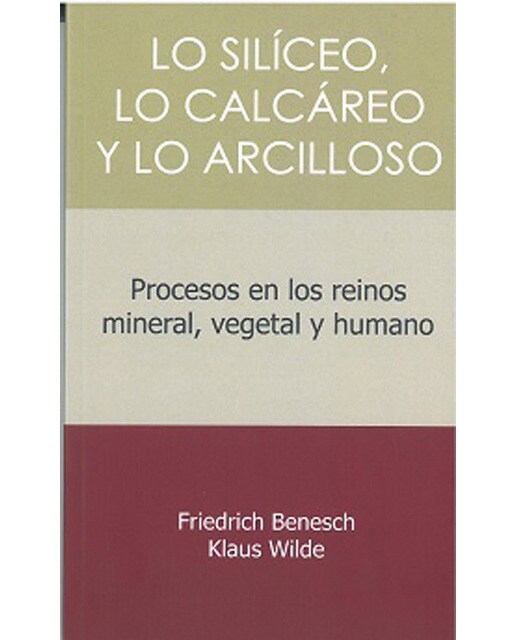 Imagem 0 de LO SILICEO, LO CALCAREO Y LO ARCILLOSO: Procesos en los reinos mineral, vegetal y humano (Capa mole com abas)