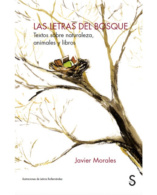 Las letras del bosque: Textos sobre naturaleza, animales y libros(Tapa blanda) 1