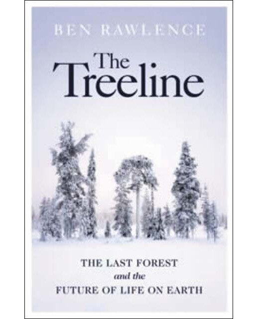 The treeline 1