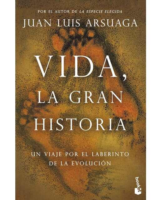 Imagem 0 de Vida, la gran historia
