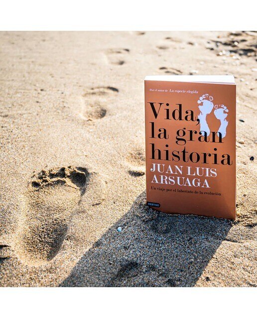 Vida, la gran historia 2