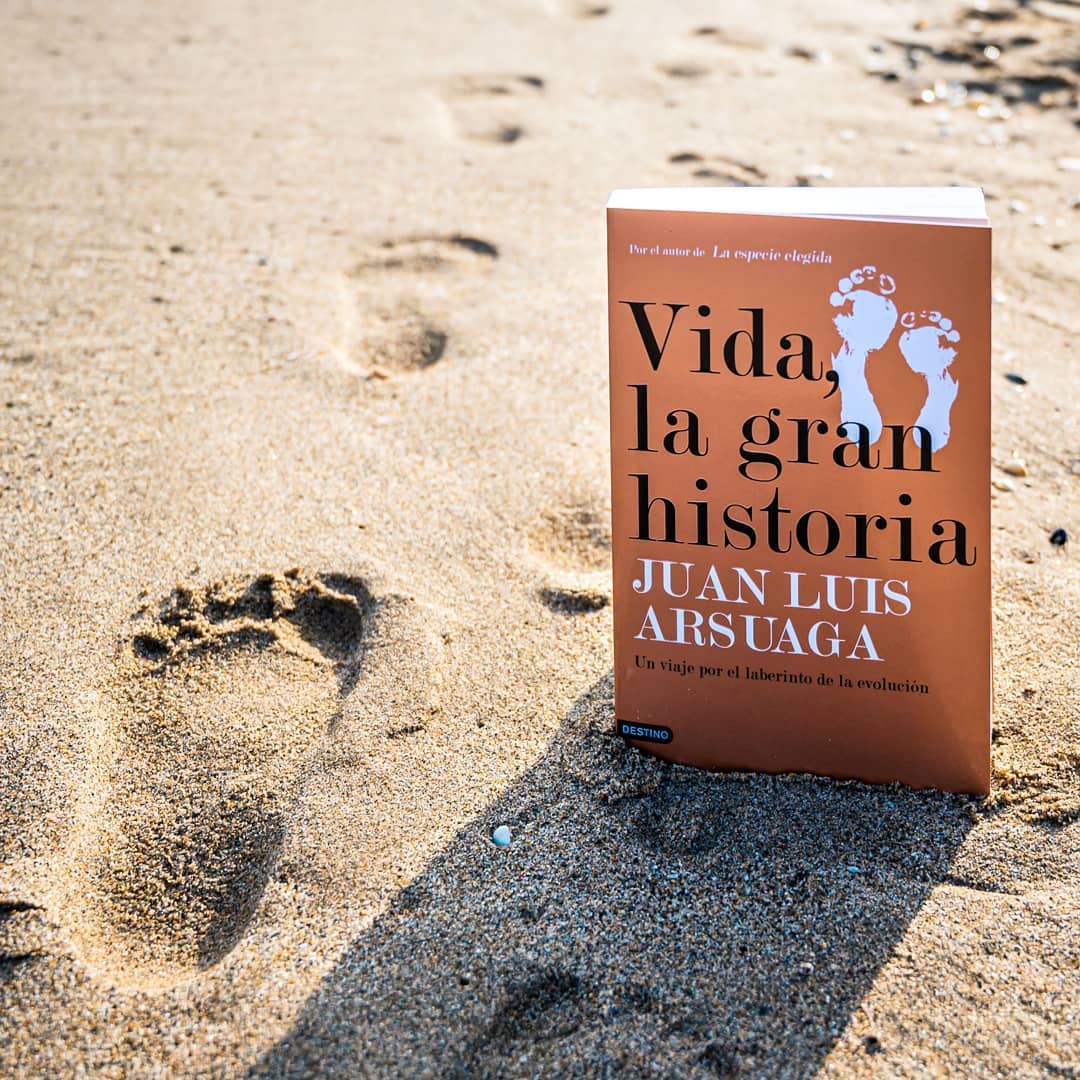 Vida, la gran historia 3