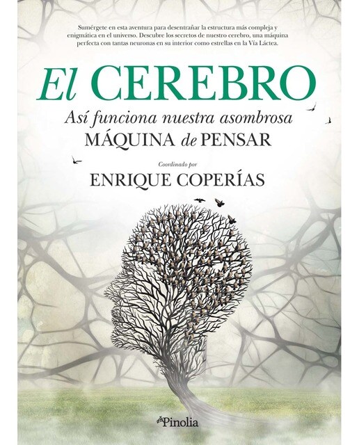 El cerebro 1