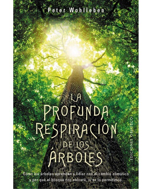 La profunda respiración de los árboles 1