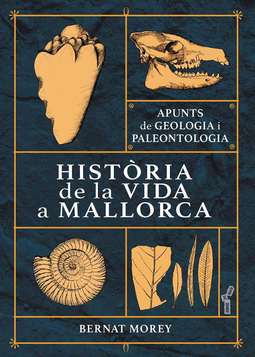 Història de la vida a Mallorca: Apunts de geologia i paleontologia (Capa mole) 1