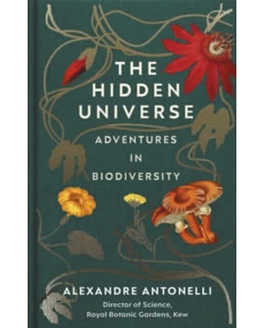 The hidden universe 1