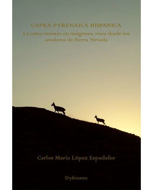 Capra Pyrenaica Hispanica: La cabra montés en imágenes, vista desde los senderos de Sierra Nevada