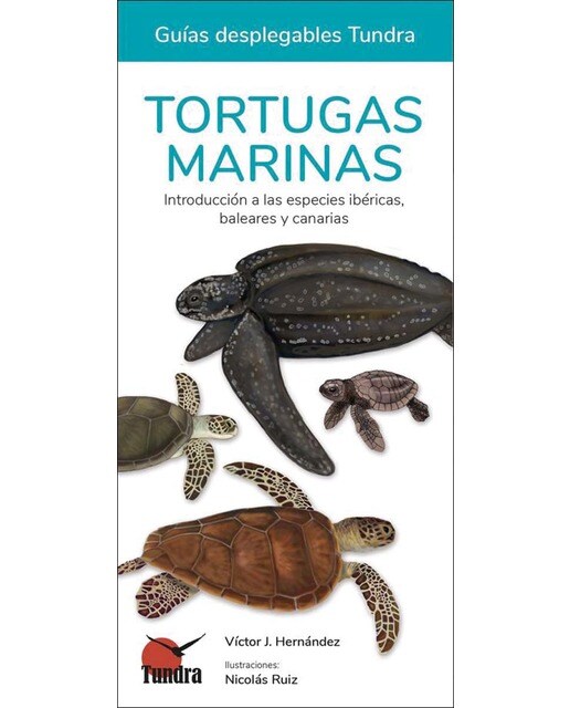 Tortugas marinas - guias desplegables tundra 1