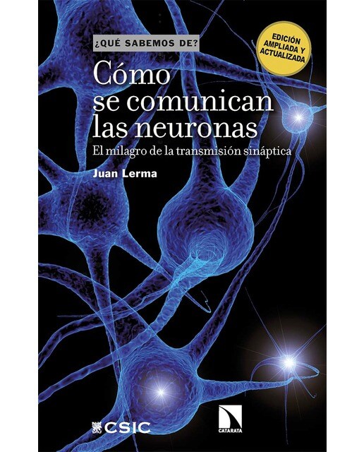 Cómo se comunican las neuronas: El milagro de la transmisión sináptica (Capa mole) 1