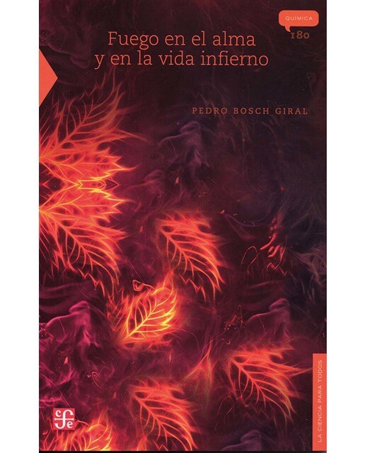 Fuego en el alma y en la vida infierno 1