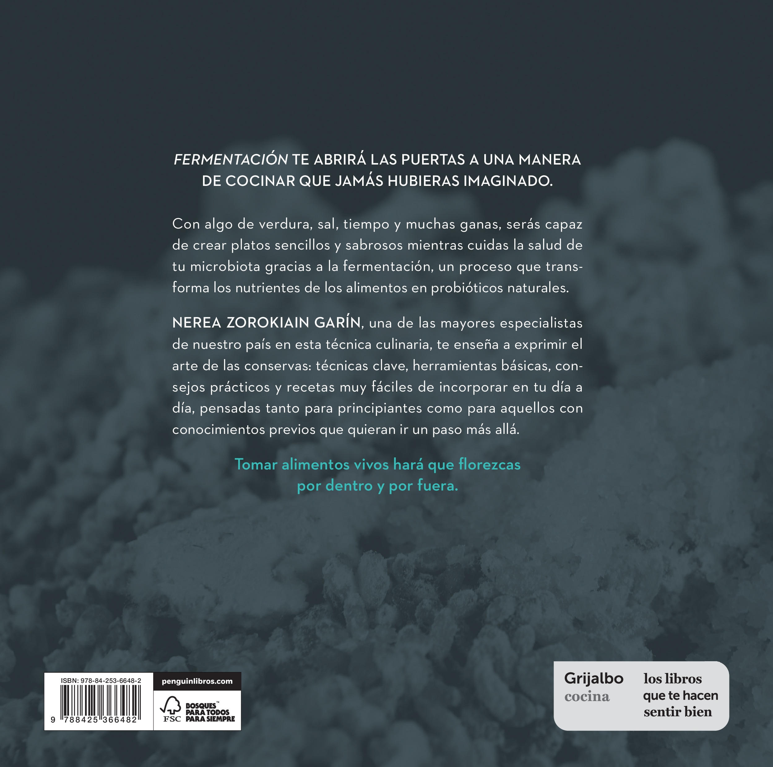 Fermentación: Crea recetas saludables, sencillas y transformadoras (Capa mole) 2