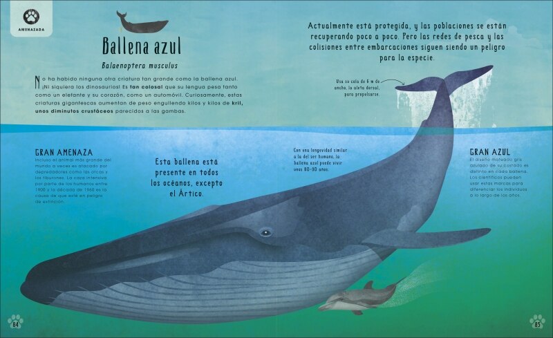 El libro de los animales insólitos: Extinción, conservación y supervivencia (Capa dura) 2