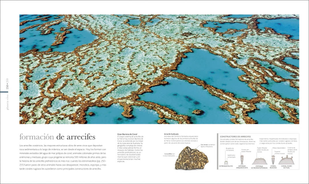 Tierra: Los secretos de nuestro planeta (Capa dura) 2