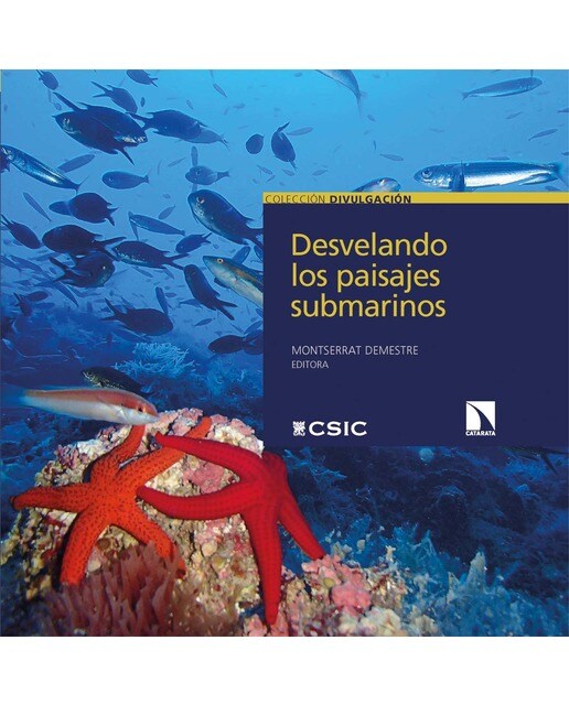 Desvelando los paisajes submarinos (Capa mole) 1