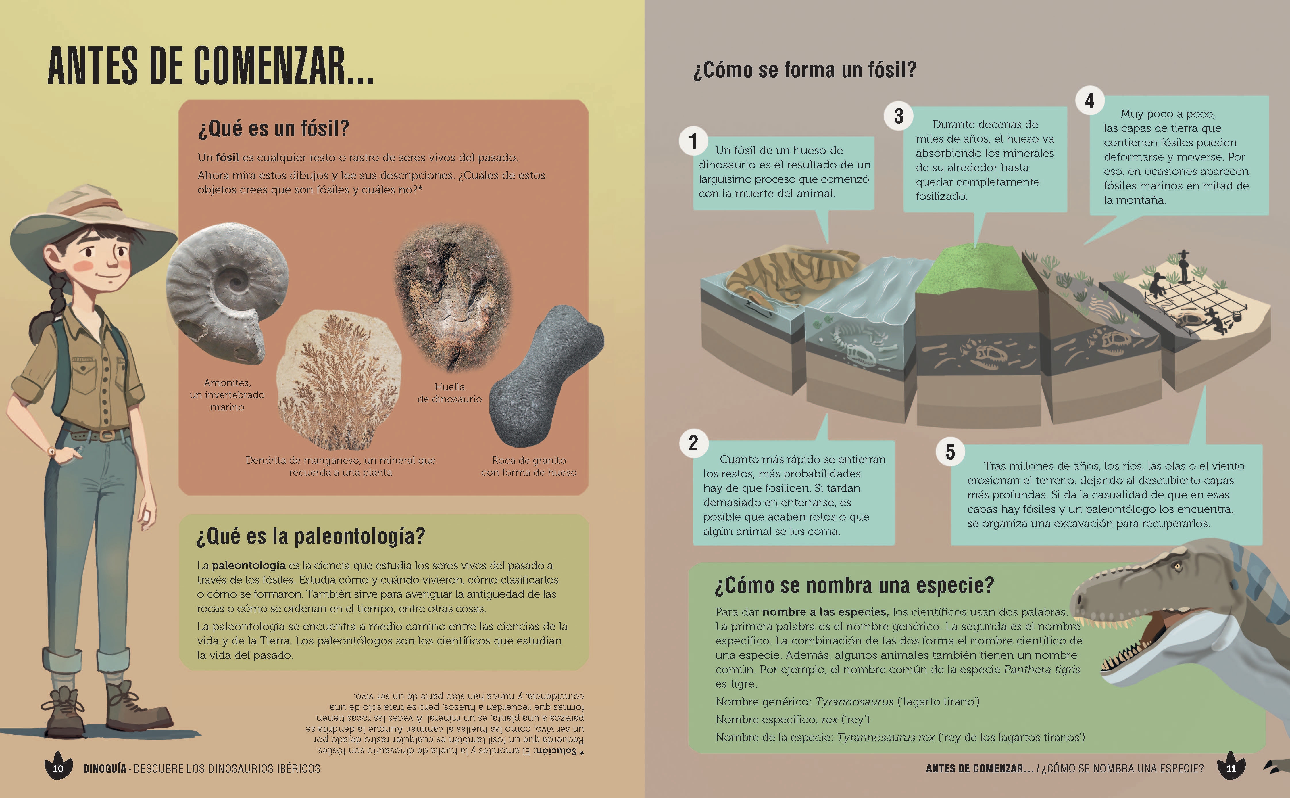 Dinoguía de la Península Ibérica.: Una guía ilustrada para conocer a nuestros dinosaurios en familia (Capa mole com abas) 2
