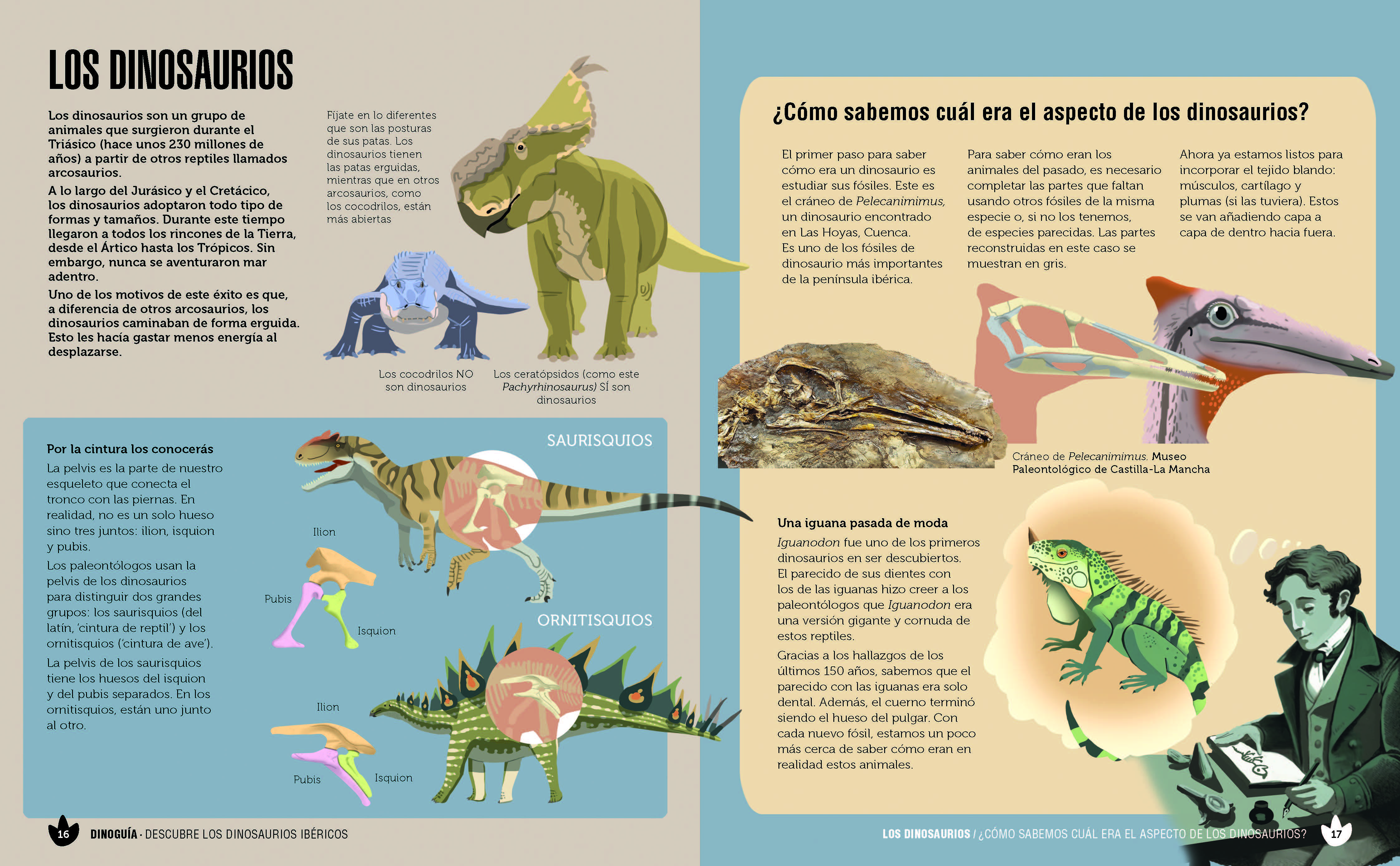 Dinoguía de la Península Ibérica.: Una guía ilustrada para conocer a nuestros dinosaurios en familia (Capa mole com abas) 3