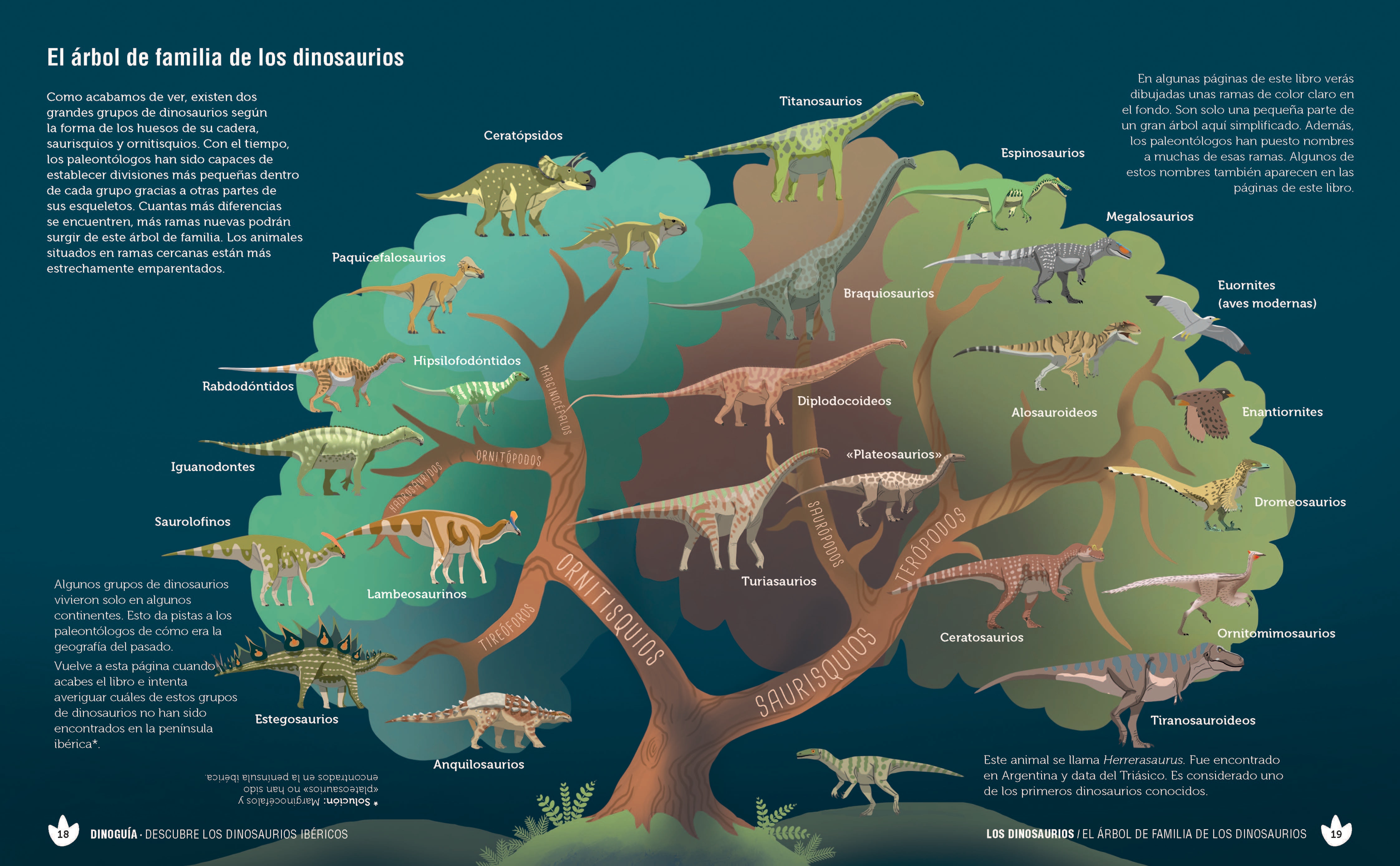 Dinoguía de la Península Ibérica.: Una guía ilustrada para conocer a nuestros dinosaurios en familia (Capa mole com abas) 4