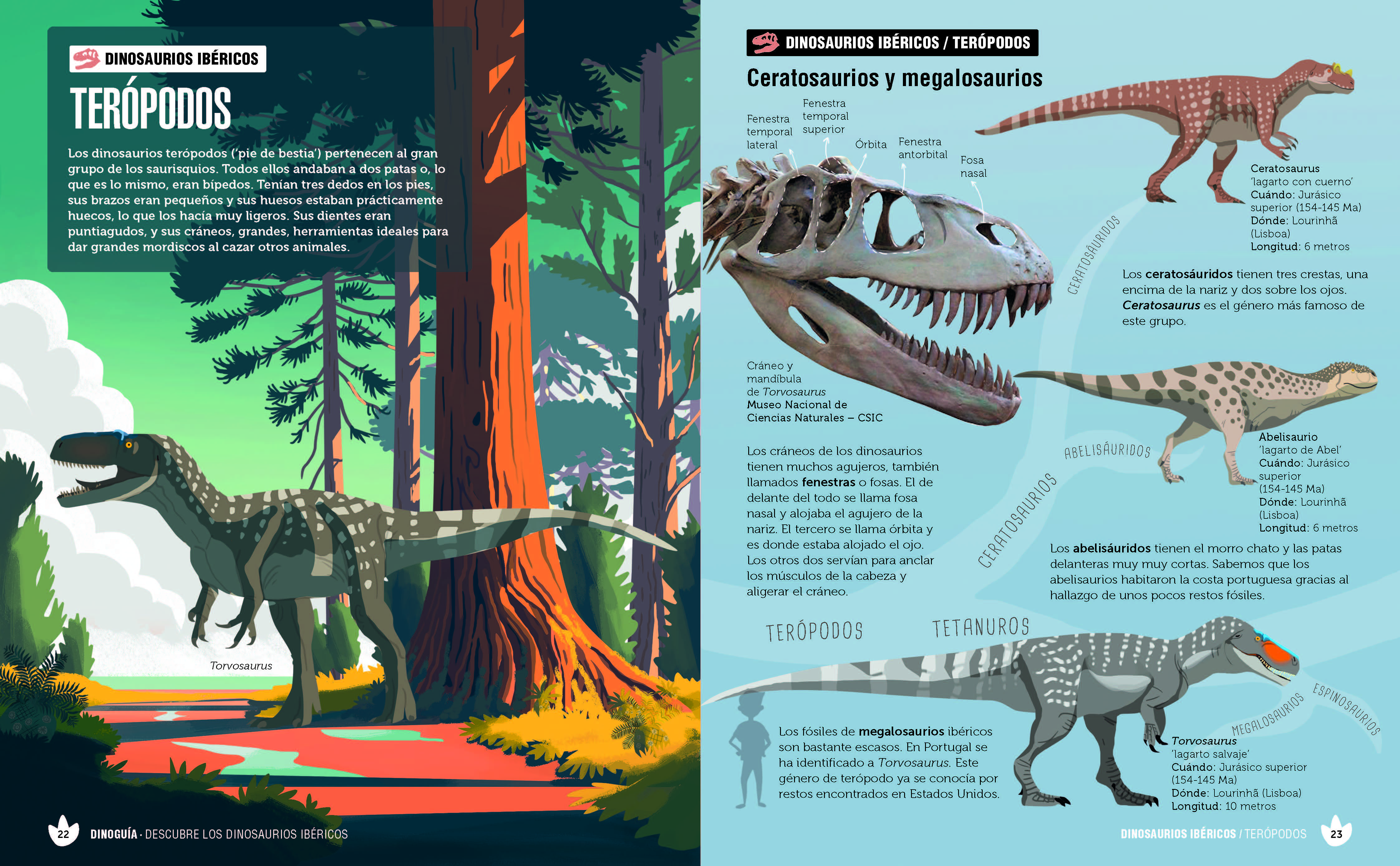 Dinoguía de la Península Ibérica.: Una guía ilustrada para conocer a nuestros dinosaurios en familia (Capa mole com abas) 5
