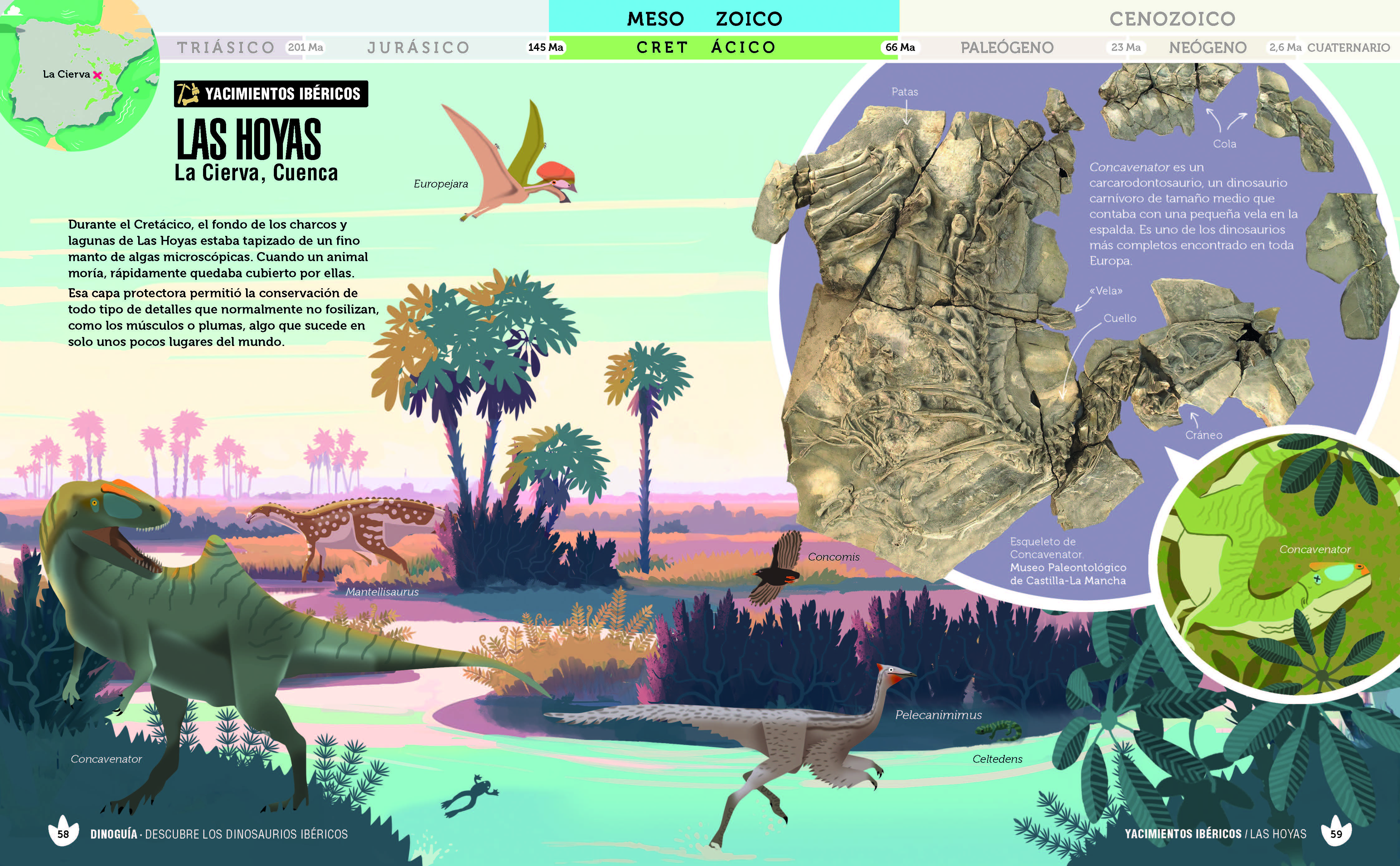 Dinoguía de la Península Ibérica.: Una guía ilustrada para conocer a nuestros dinosaurios en familia (Capa mole com abas) 6