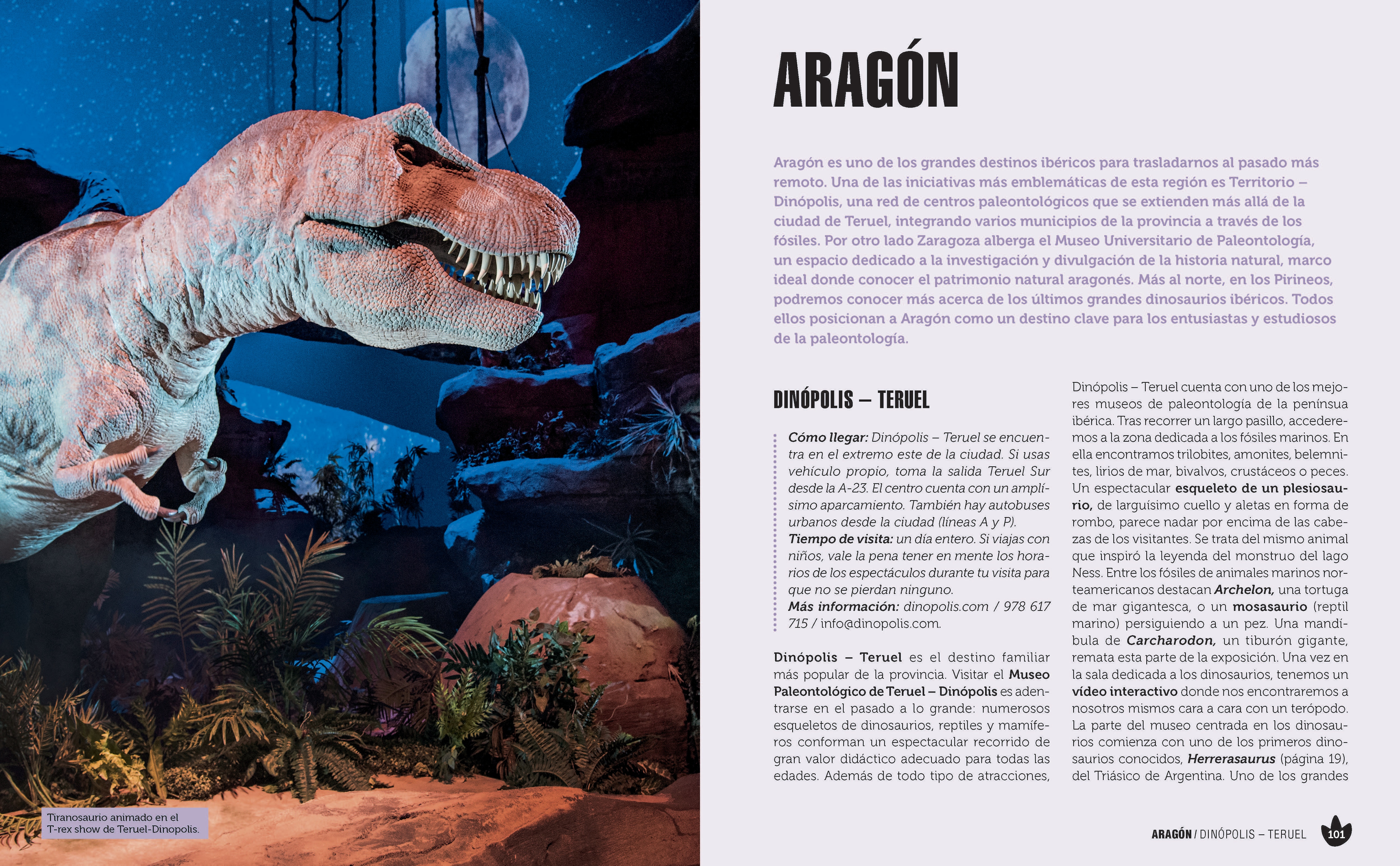 Dinoguía de la Península Ibérica.: Una guía ilustrada para conocer a nuestros dinosaurios en familia (Capa mole com abas) 7