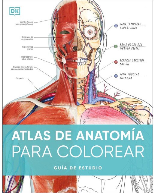 Atlas de anatomía para colorear: Guía de estudio (Capa mole) 1