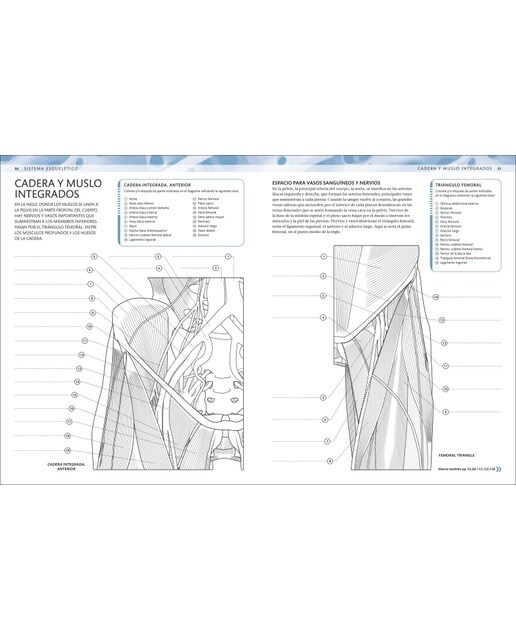 Atlas de anatomía para colorear: Guía de estudio (Capa mole) 5