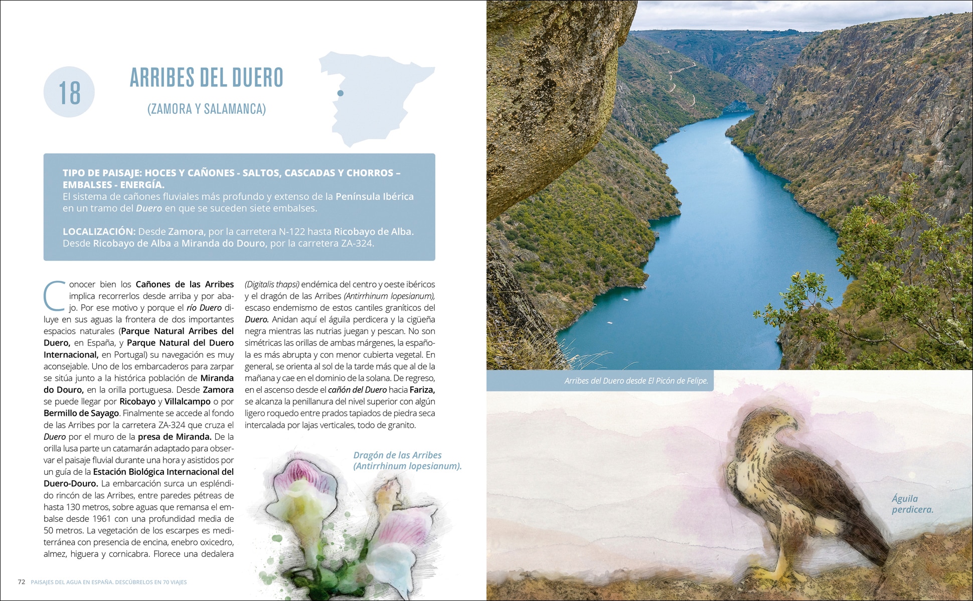 Paisajes del agua en España: Descúbrelos en 70 viajes (Capa mole com abas) 4