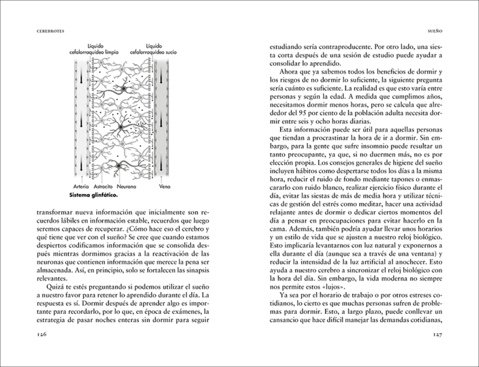 Cerebrotes: Cultiva y moldea tu cerebro gracias a la neuroplasticidad (Capa mole) 3