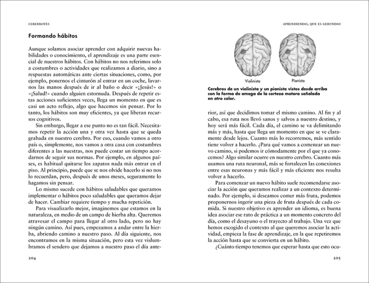 Cerebrotes: Cultiva y moldea tu cerebro gracias a la neuroplasticidad (Capa mole) 4