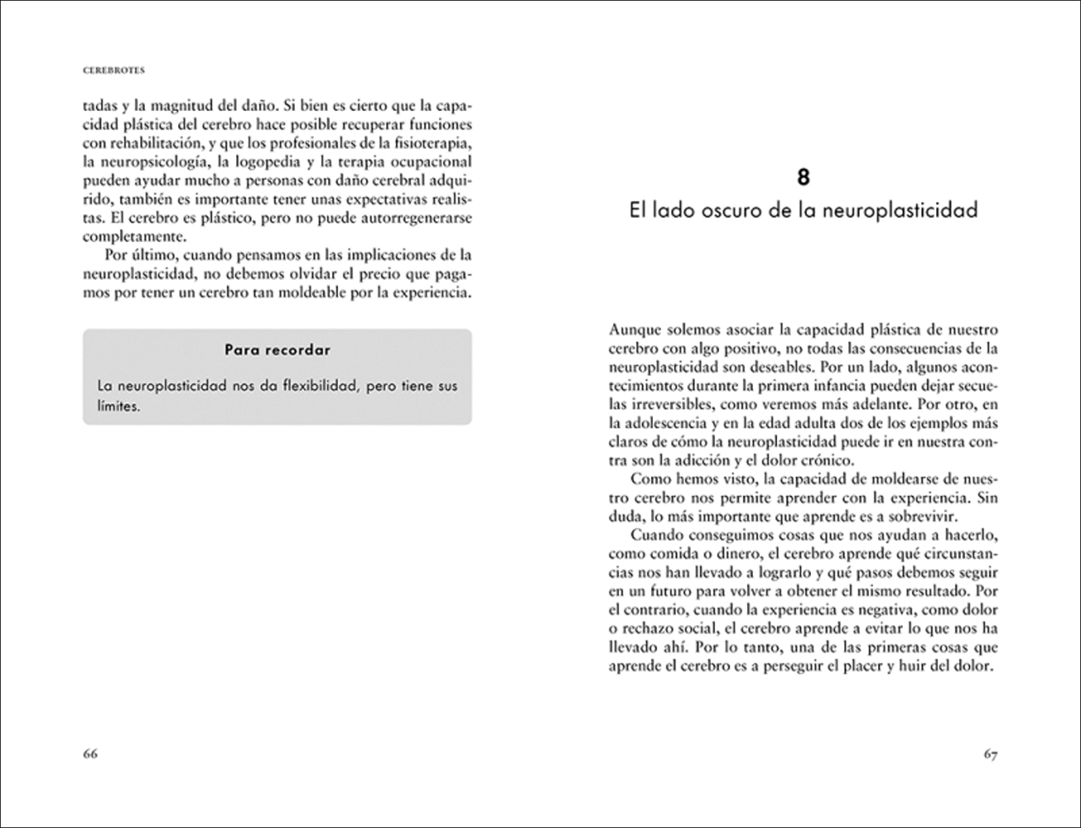 Cerebrotes: Cultiva y moldea tu cerebro gracias a la neuroplasticidad (Capa mole) 5