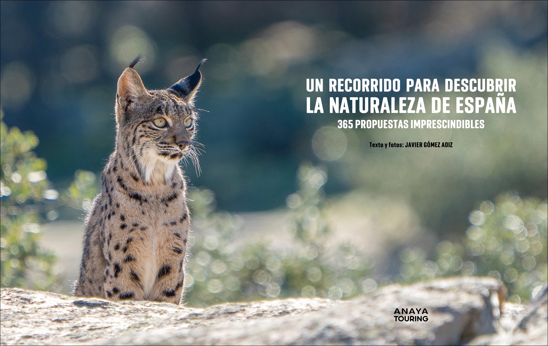 Un recorrido para descubrir la Naturaleza de España.: 365 Propuestas imprescindibles (Capa mole com abas) 3