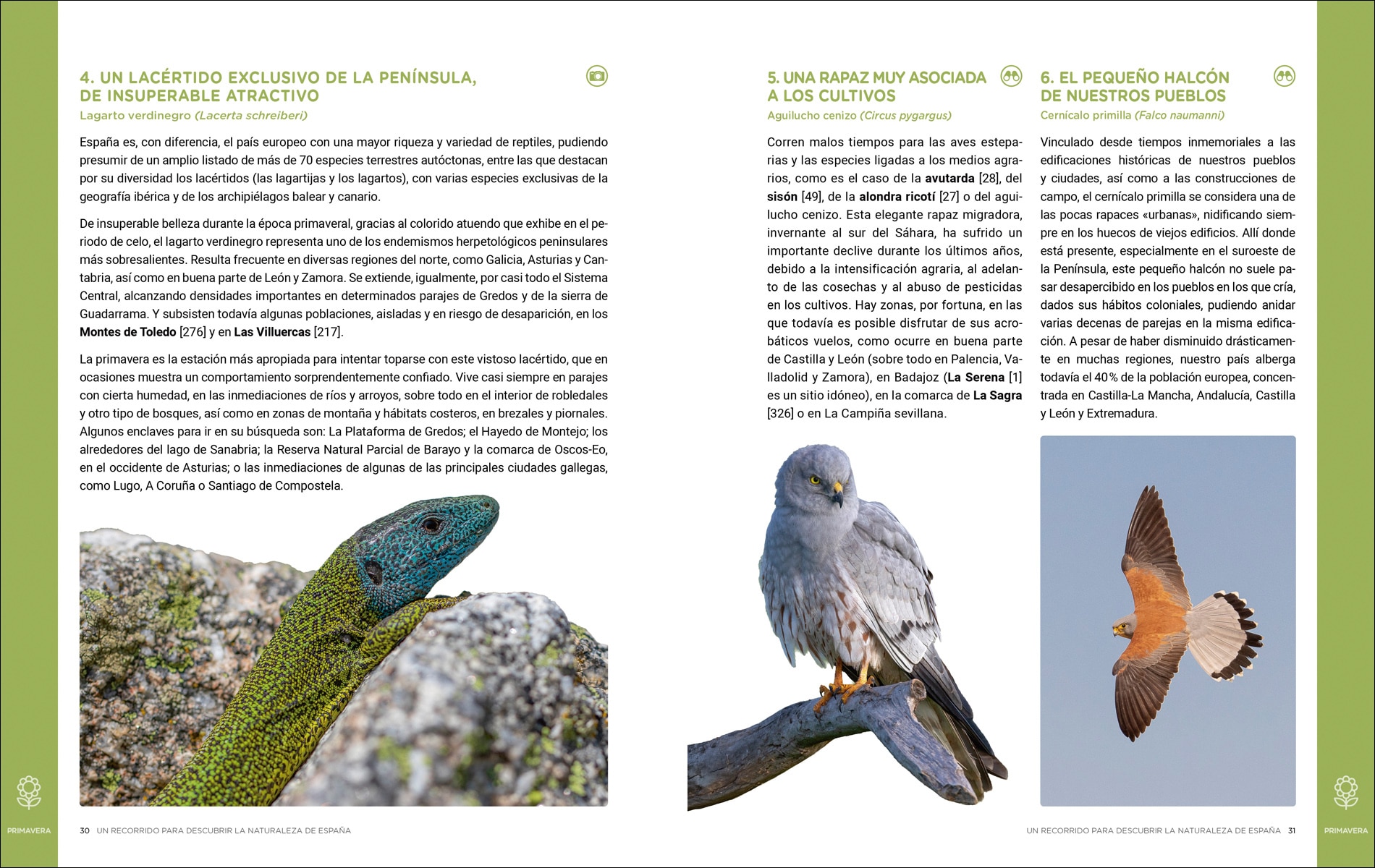 Un recorrido para descubrir la Naturaleza de España.: 365 Propuestas imprescindibles (Capa mole com abas) 4