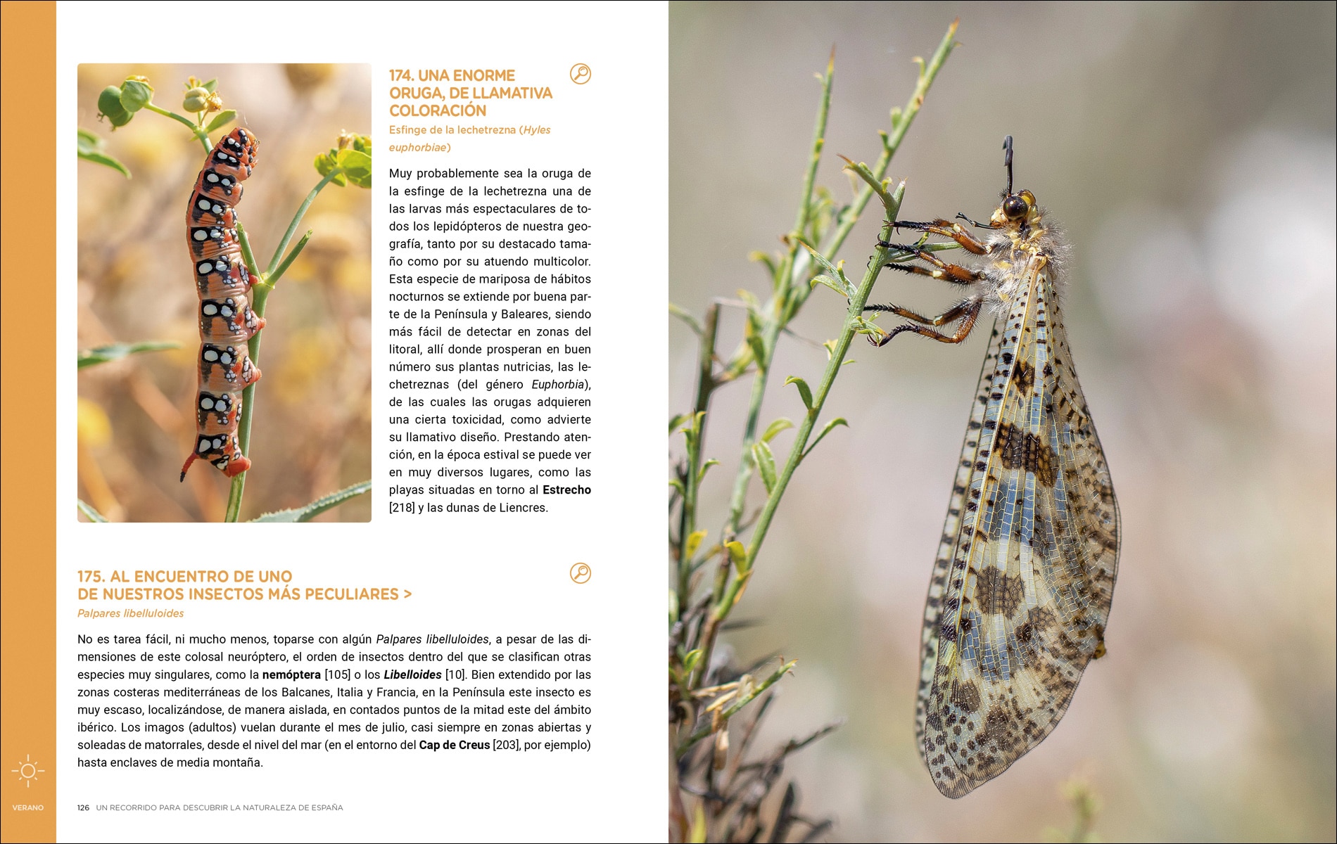 Un recorrido para descubrir la Naturaleza de España.: 365 Propuestas imprescindibles (Capa mole com abas) 5