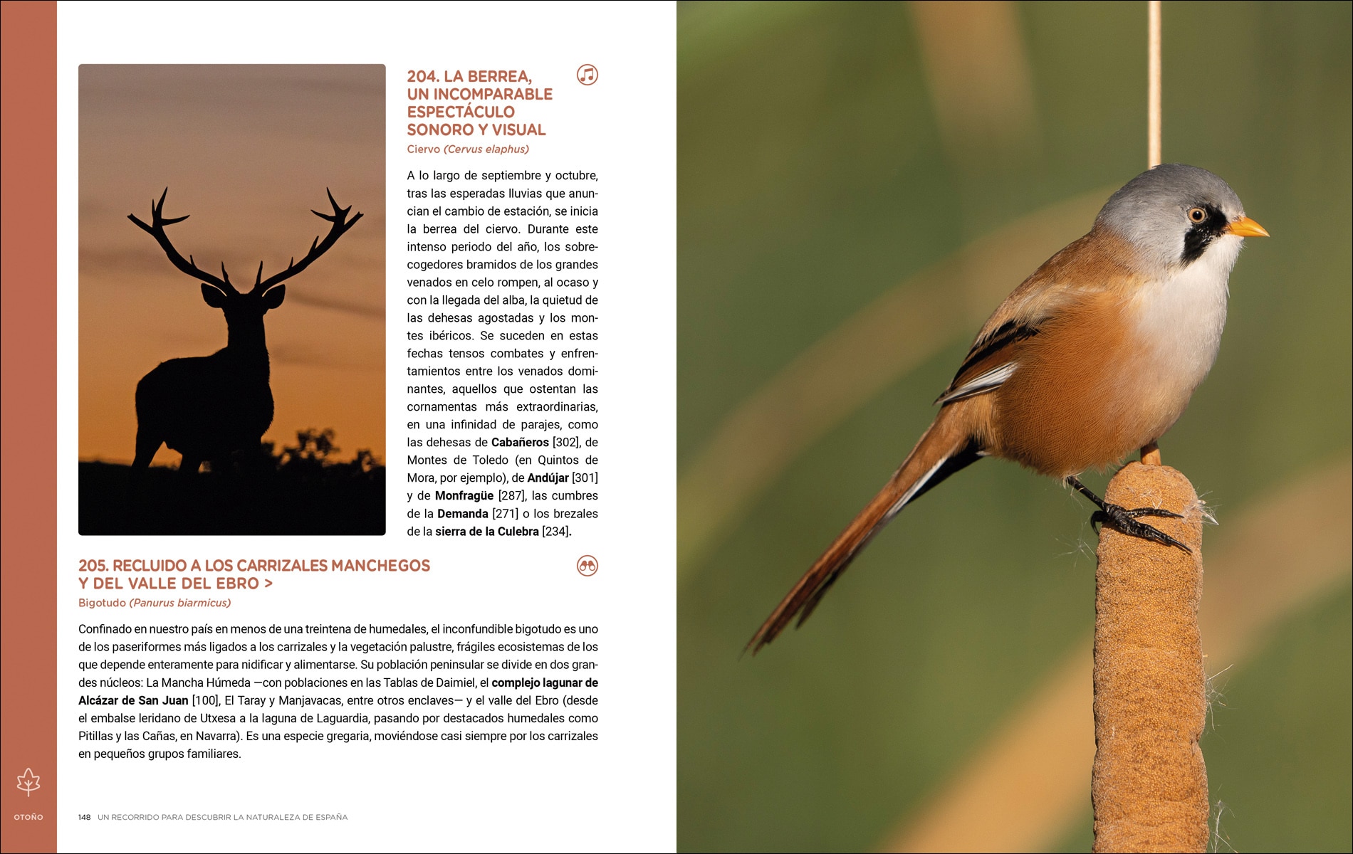 Un recorrido para descubrir la Naturaleza de España.: 365 Propuestas imprescindibles (Capa mole com abas) 6