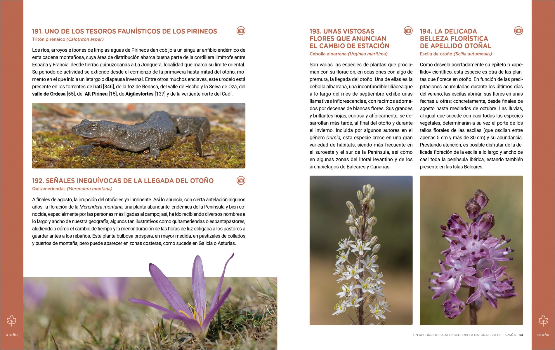Un recorrido para descubrir la Naturaleza de España.: 365 Propuestas imprescindibles (Capa mole com abas) 7