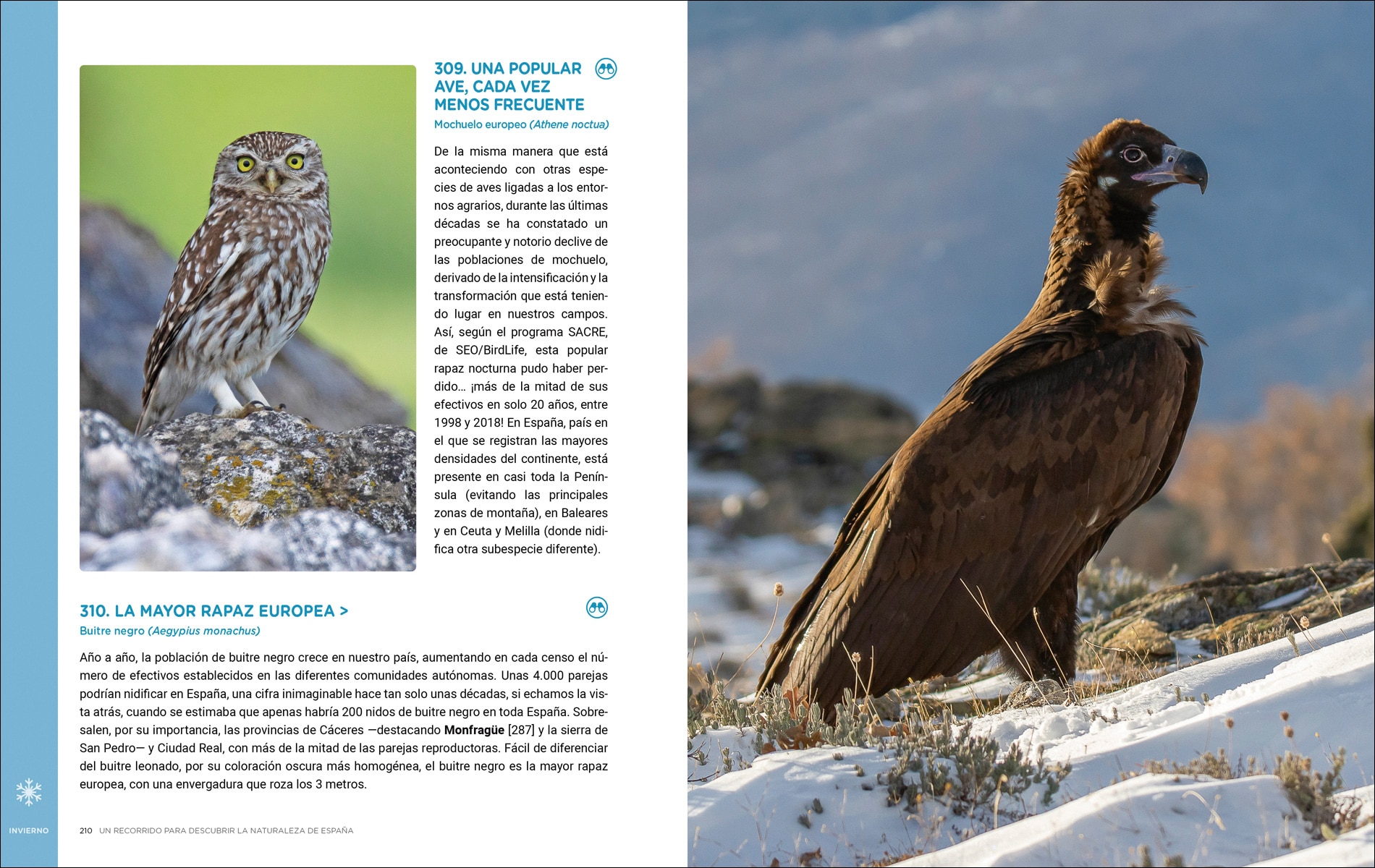 Un recorrido para descubrir la Naturaleza de España.: 365 Propuestas imprescindibles (Capa mole com abas) 8