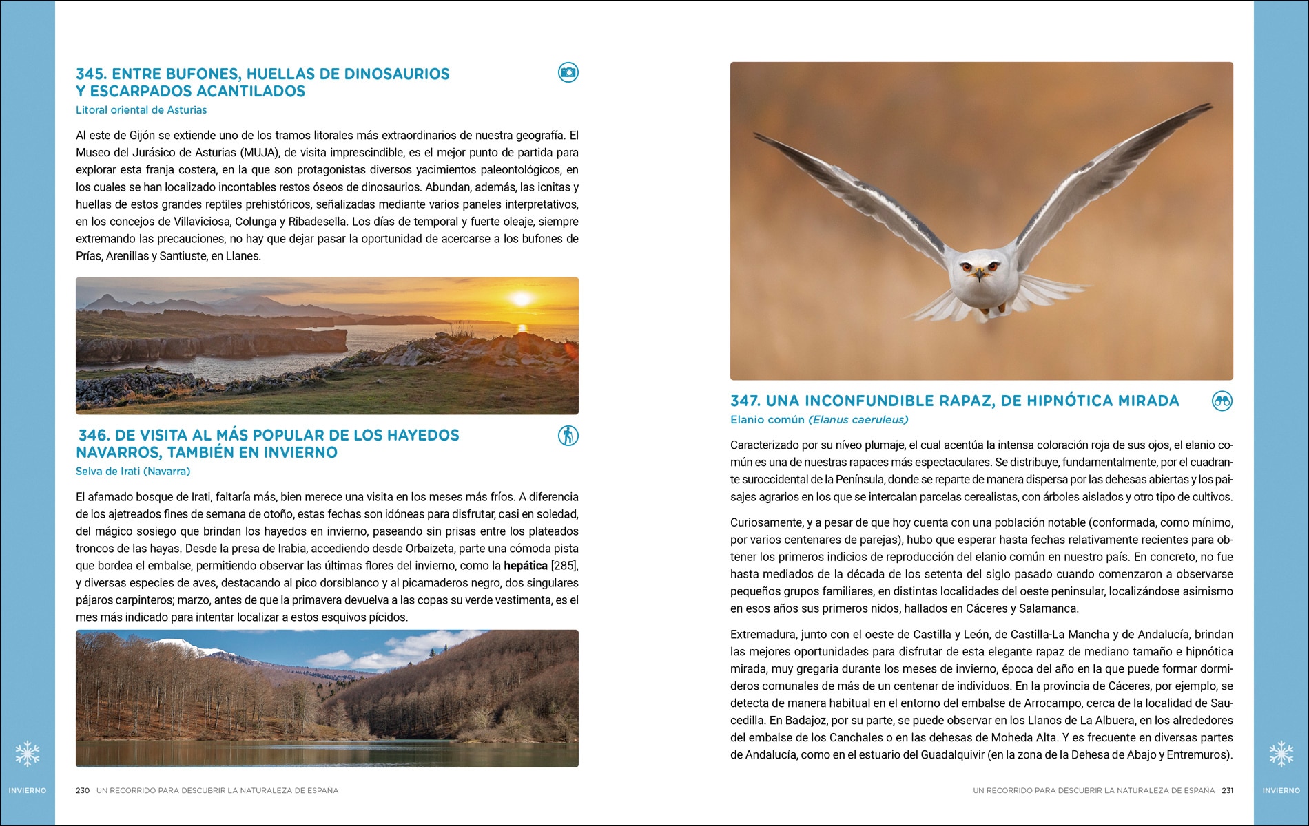 Un recorrido para descubrir la Naturaleza de España.: 365 Propuestas imprescindibles (Capa mole com abas) 9