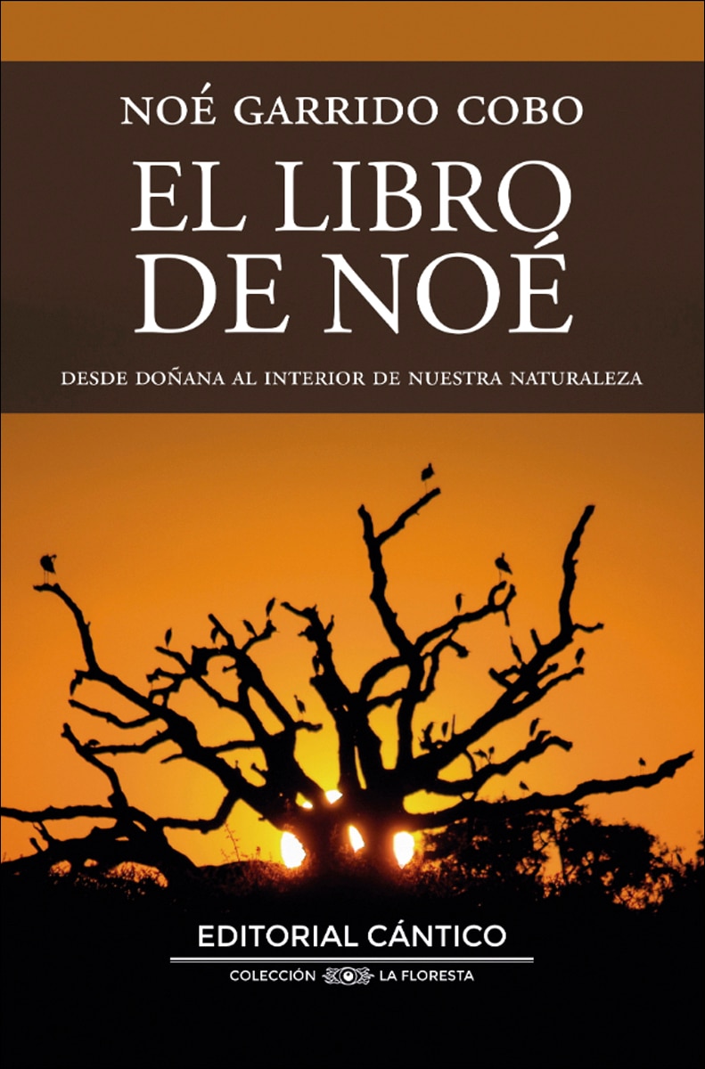 El libro de noé 1