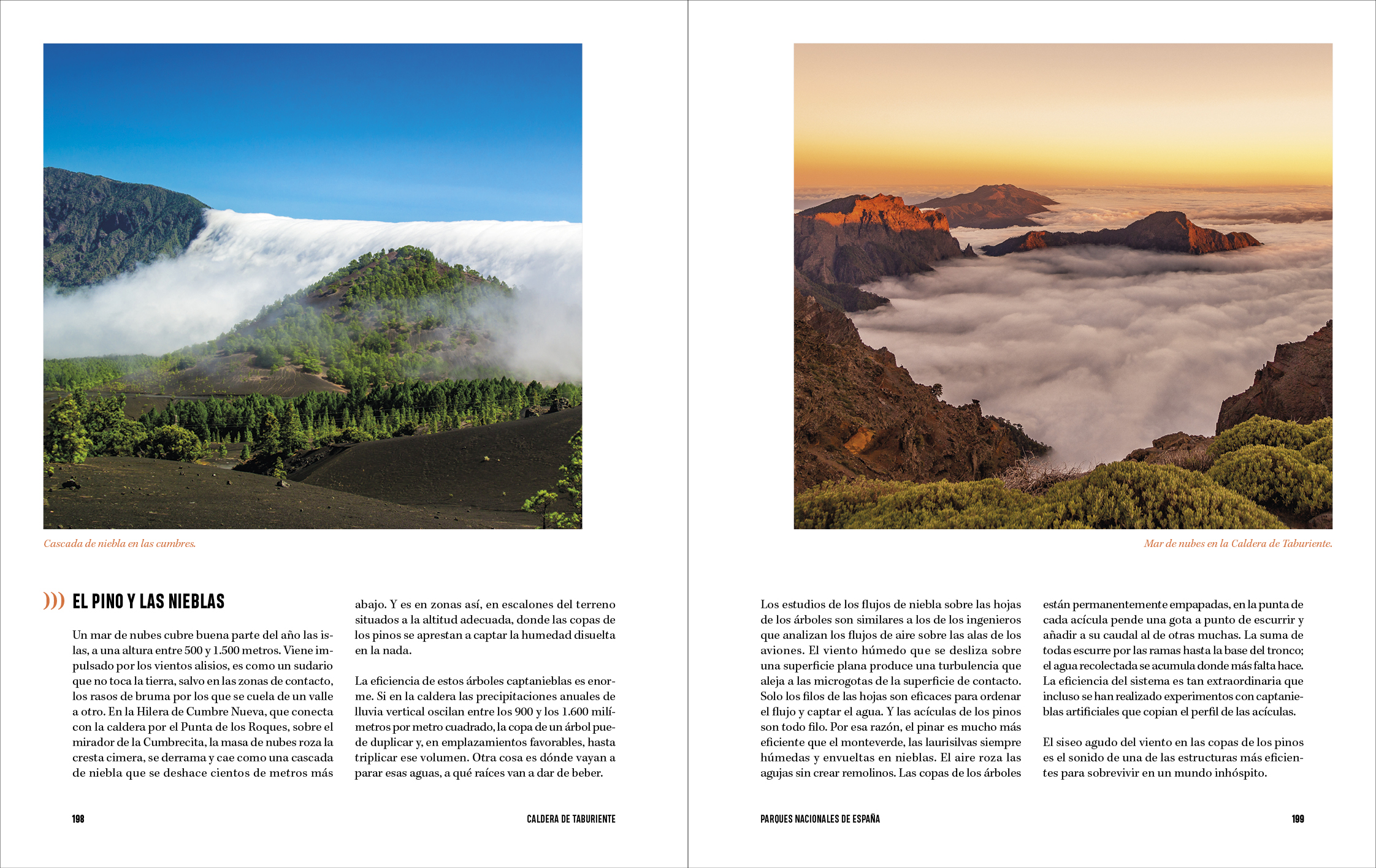 Parques Nacionales de España: Paisajes sonoros (Capa mole com abas) 7