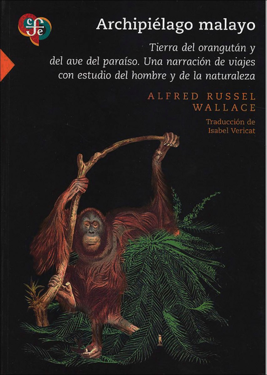 Archipielago malayo.Tierra del orangutan y del av 1
