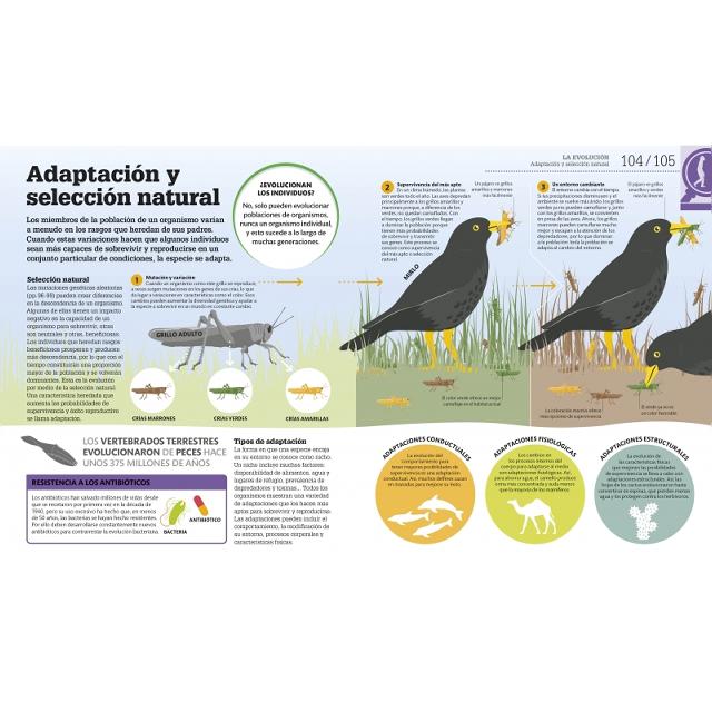 Cómo funciona la biología: Guía gráfica de biología aplicada (Capa dura) 3