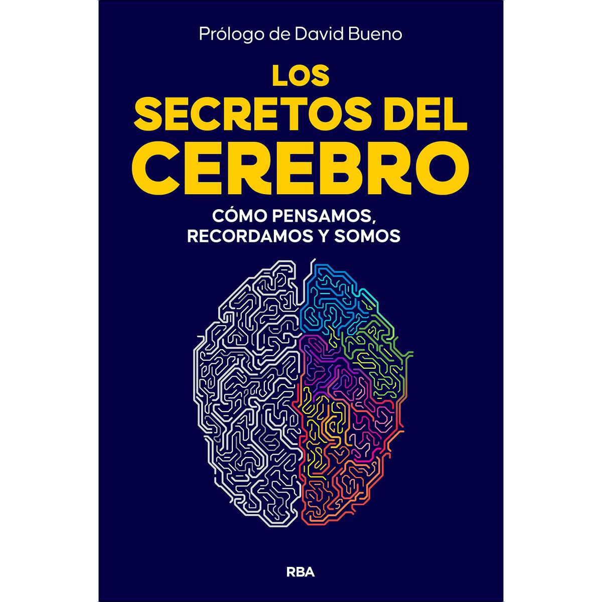 Imagem 0 de Los secretos del cerebro: Cómo pensamos, recordamos y somos (Capa mole)