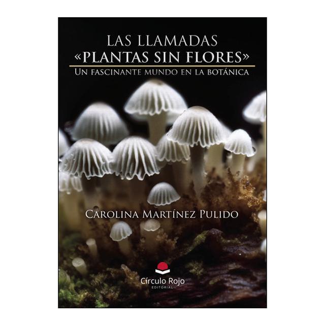 LAS LLAMADAS «PLANTAS SIN FLORES» Un fascinante mundo en la botánica