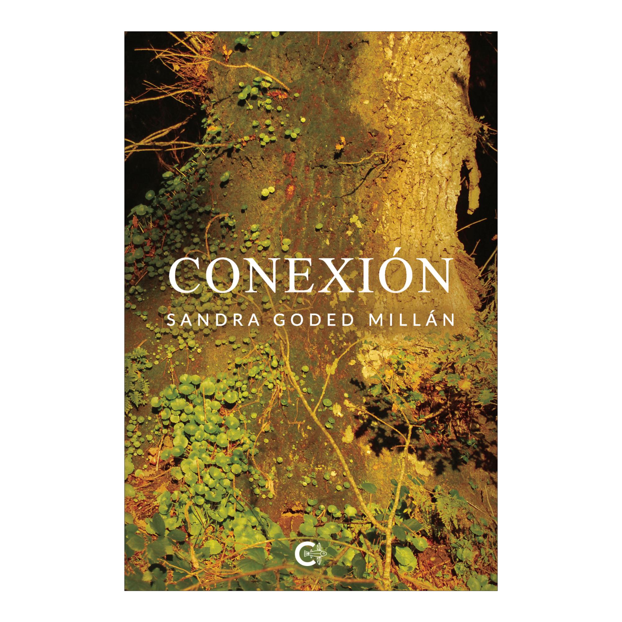 Conexion