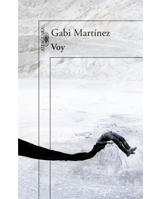Imagen 0 de Voy (Tapa blanda)