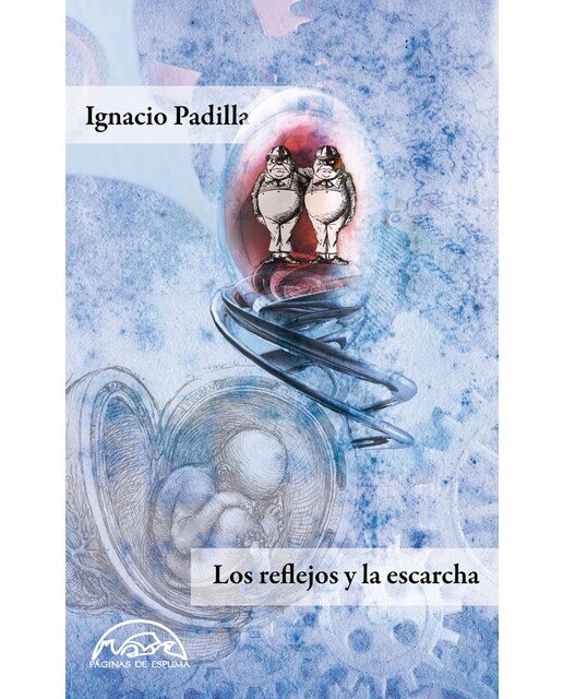 Imagen 0 de Los reflejos y la escarcha  (Tapa blanda Tapa blanda con solapas)