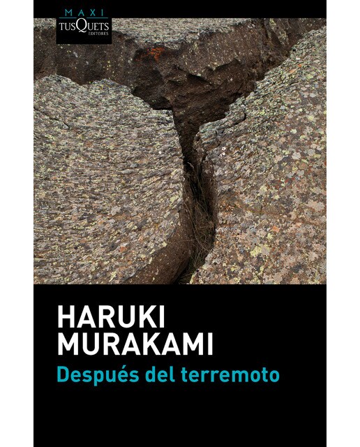 Después del terremoto