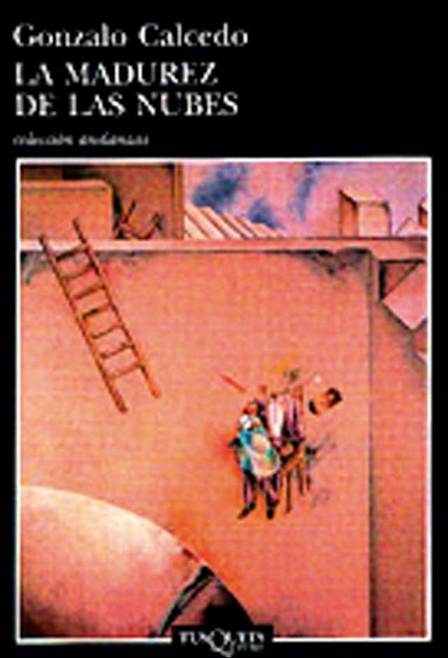 Imagen 1 de La madurez de las nubes (Tapa blanda con solapas)