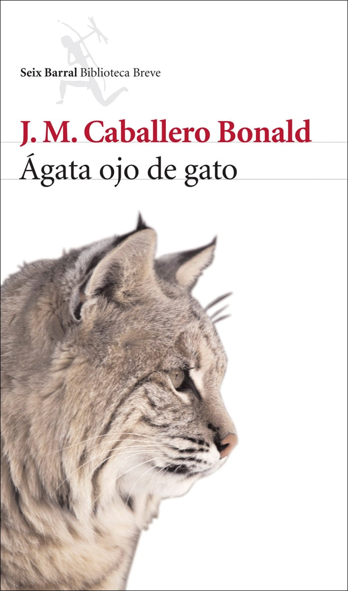 Imagen 1 de Ágata ojo de gato  (Tapa blanda con solapas)