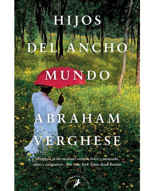 Imagen 0 de HIJOS DEL ANCHO MUNDO (Tapa blanda Bolsillo)